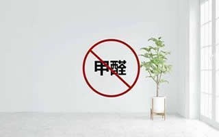 专业保洁服务：收纳师 月嫂 甲醛检测 新居开荒地毯清洗